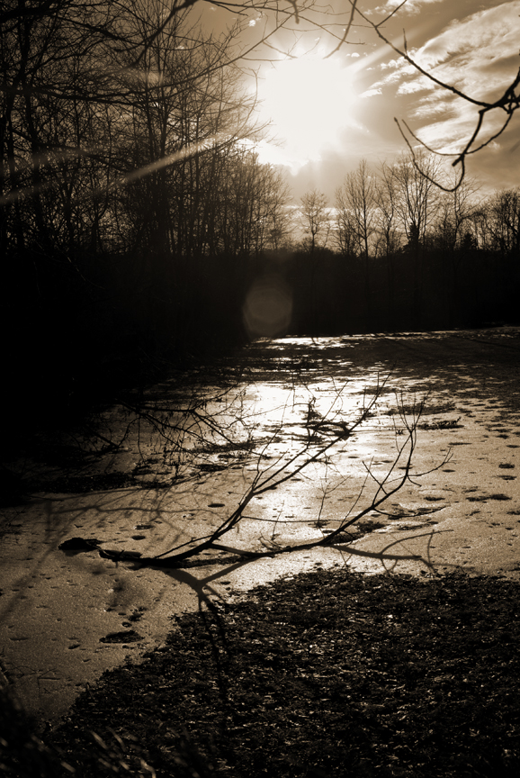 icy field