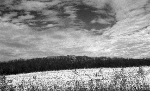 Snowy Meadow