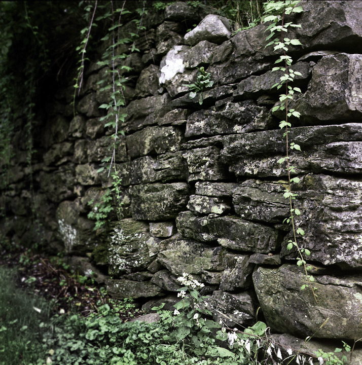 Old Wall