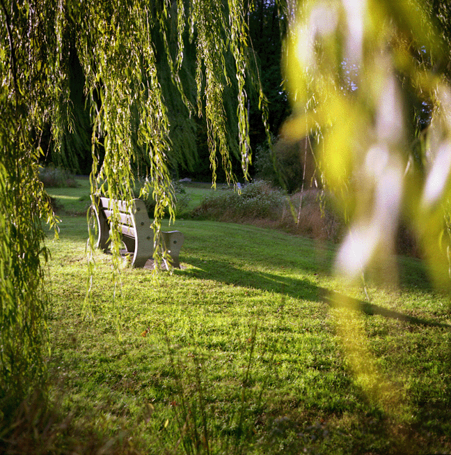 October Light